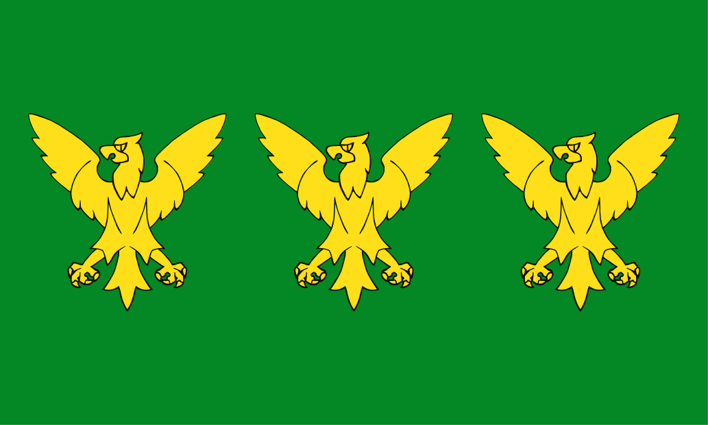 Caernarfonshire Flag